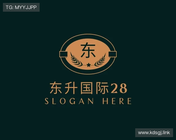 剖析东升国际28